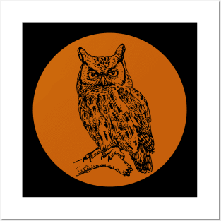 Halloween Owl, Portents, Omens, Signs, and Fortunes - Orange and Black Style Posters and Art
